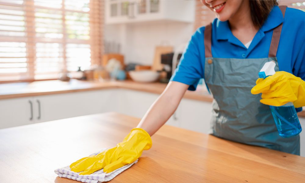 Privathaushalt - Cleaning service